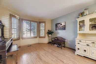 17052 Motsenbocker Way, Parker, CO 80134 - photo 5