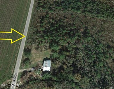 0 Tbd Ginger Rd, Iota, LA 70543 - photo 2