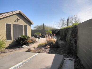 Backyard2