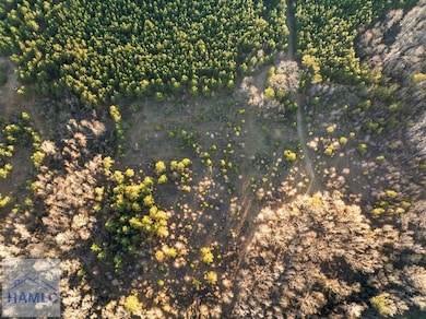 0 Thomas Rd unit 163843, Millen, GA 30442 - photo 5