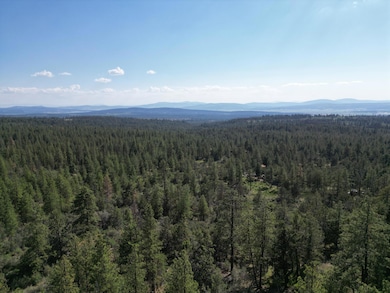 0 Sandpiper Ln unit 2300, Beatty, OR 97621 - photo 6