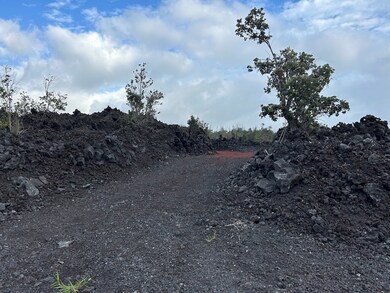 Carefully planned graded pathway to create privacy.