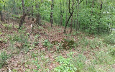 Additional View