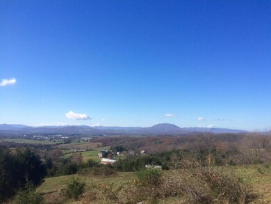 0 Mountain View Rd, Lexington, VA 24450 - photo 4