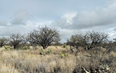 10 acres off Linda Vista Andrea and Eli