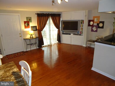 20317 Grazing Way, Montgomery Village, MD 20886 - photo 6