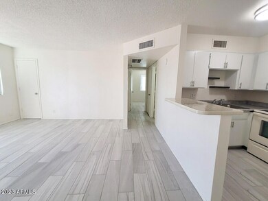 506 E Southern Ave unit 1, Apache Junction, AZ 85119 - photo 3