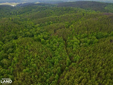 0 Cr 77, Ashland, AL 36251 - photo 6