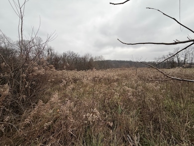 TBD E Willow Rd, Jackson Township, IN 47424 - photo 2