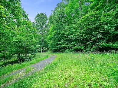 #1 TBD Lotties Creek Rd unit Lot 8, 39, 40, 41, 4, Burnsville, NC 28714 - photo 5