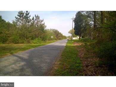 L:30 03 Mickels Mill Rd, Quinton, NJ 08302 - photo 4