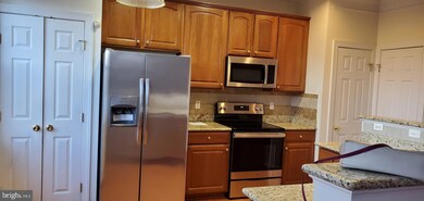 13520 Davinci Ln unit 60, Herndon, VA 20171 - photo 5