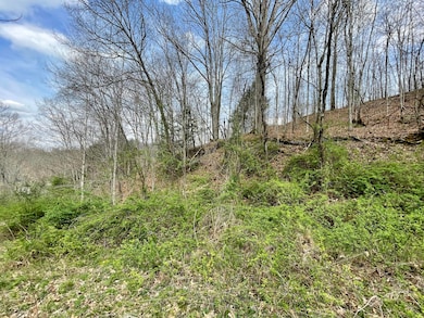 Tbd Orby Cantrell Hwy, Wise, VA 24293 - photo 2
