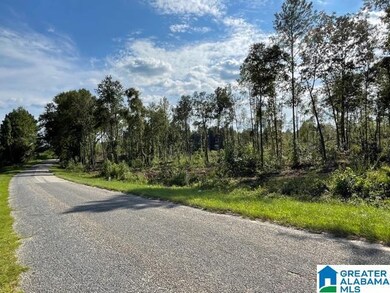 3619 County Road 30 unit Tract 2, Roanoke, AL 36274 - photo 3