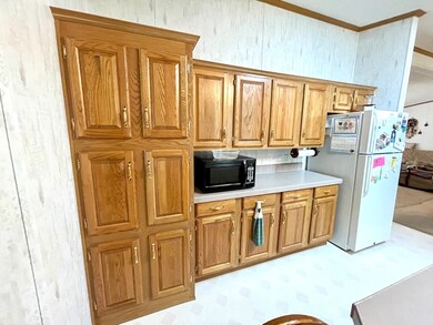 104 W Sycamore St, Malden, IL 61337 - photo 7