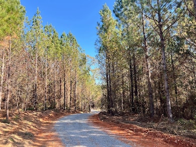 0 Rouse Rd, Weoka, AL 36092 - photo 2