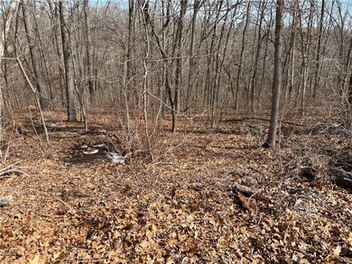 0 Hollow Way Dr, Bella Vista, AR 72715 - photo 2