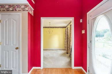 3807 Alberta Dr N, Fredericksburg, VA 22408 - photo 7