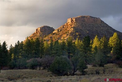 0 Twin Buttes Ave unit 723535, Durango, CO 81301 - photo 6