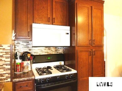 229 Welch Dr, Lincoln, IL 62656 - photo 5