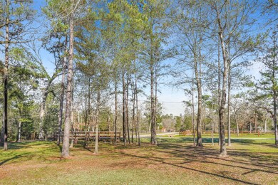 26081 Rolling Forest Ln, Hockley, TX 77447 - photo 7