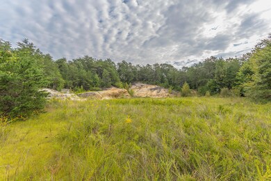 Shinbone Property-7