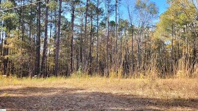 3082 State Road S-30-82, Laurens, SC 29360 - photo 2