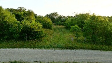 Hazel Rd, Newtown, MO 64667 - photo 2