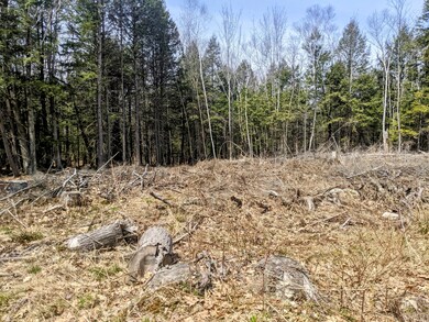 TBD Penney Rd, New Gloucester, ME 04260 - photo 3