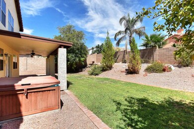 Backyard 4