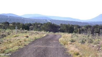 10955 Howard Mesa Loop, Williams, AZ 86046 - photo 6