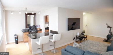 Mica Condominiums unit 1101, Silver Spring, MD 20910 - photo 5