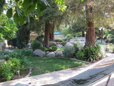Relax Under The Trees