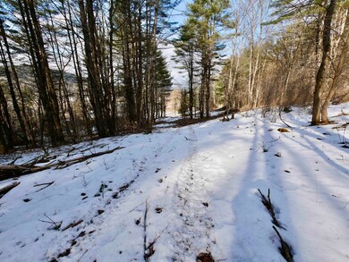 202 River Rd, Lyme, NH 03769 - photo 5