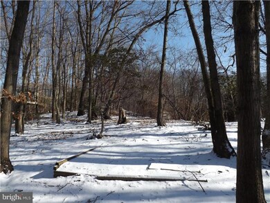 466 Monroeville Rd, Swedesboro, NJ 08085 - photo 6