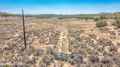 DJI_0561