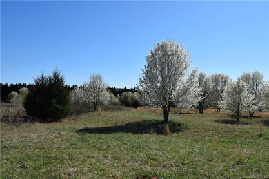 00 Evondale Rd, Crouse, NC 28033 - photo 3