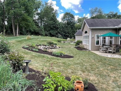 View of green lawn with a patio and view of scattered trees