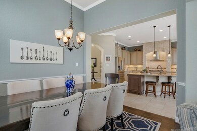 25742 Berberis, San Antonio, TX 78261 - photo 7