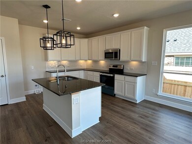 10607 Scarlet Peak Ct, College Station, TX 77845 - photo 7