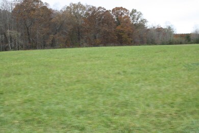 IMG_0040 - Copy