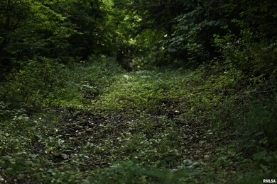 000 205th St, Kinderhook, IL 62345 - photo 6