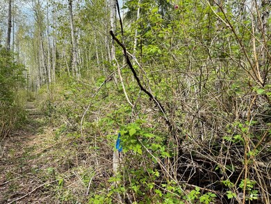 16201 30th Ave NW, Lake Goodwin, WA 98292 - photo 4