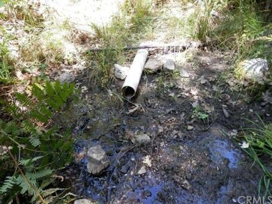 Some of the excess water draining from the spring 