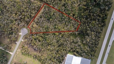 33726 Blue Marlin Dr, Richwood, TX 77515 - photo 6