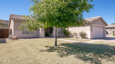 frontyard3