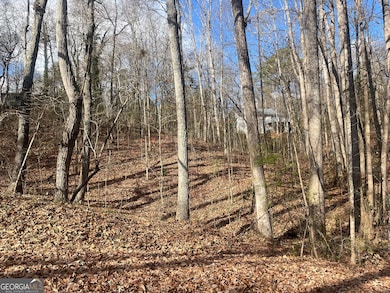 0 Tomahawk Terrace unit 10653462, Gainesville, GA 30506 - photo 2