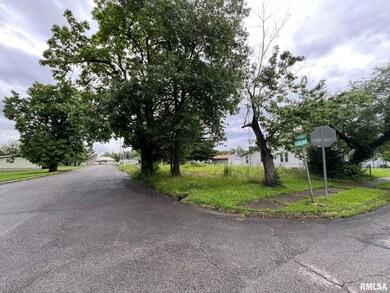 218 Elm St, Zeigler, IL 62999 - photo 6