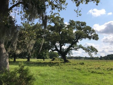 29700 Joseph Rd, Hockley, TX 77447 - photo 4