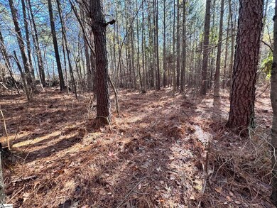 0 Eastview Rd, Pelzer, SC 29669 - photo 3